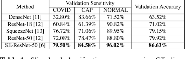 Figure 2 for Multi-Slice Net: A novel light weight framework for COVID-19 Diagnosis