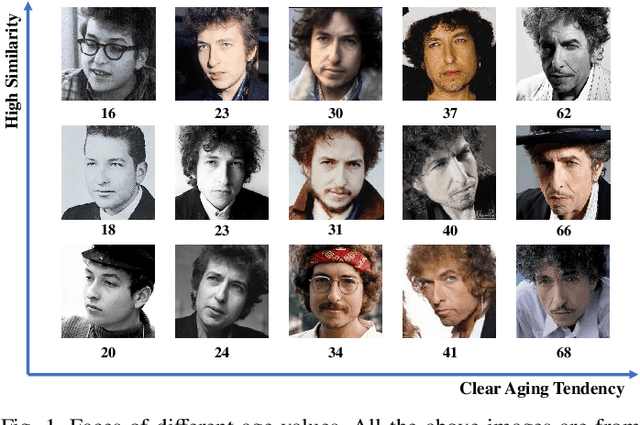Figure 1 for Soft-ranking Label Encoding for Robust Facial Age Estimation