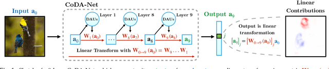 Figure 1 for Optimising for Interpretability: Convolutional Dynamic Alignment Networks