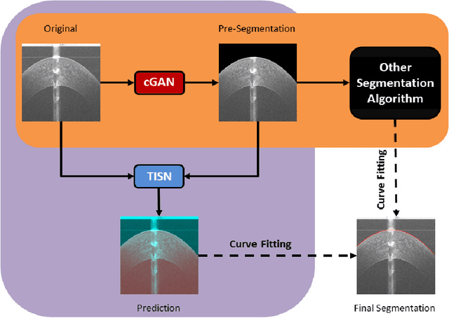 Figure 4 for Accurate Tissue Interface Segmentation via Adversarial Pre-Segmentation of Anterior Segment OCT Images