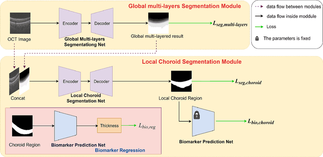 Figure 3 for BioNet: Infusing Biomarker Prior into Global-to-Local Network for Choroid Segmentation in Optical Coherence Tomography Images