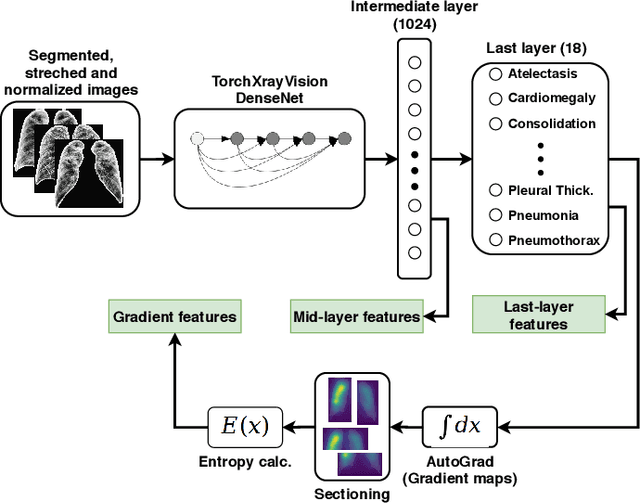Figure 3 for Potential Features of ICU Admission in X-ray Images of COVID-19 Patients