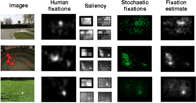 Figure 1 for A Reverse Hierarchy Model for Predicting Eye Fixations