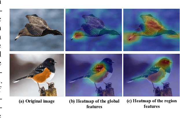 Figure 1 for Stacked Semantic-Guided Attention Model for Fine-Grained Zero-Shot Learning