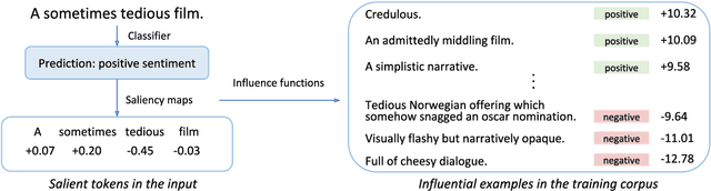 Figure 1 for Explaining Black Box Predictions and Unveiling Data Artifacts through Influence Functions