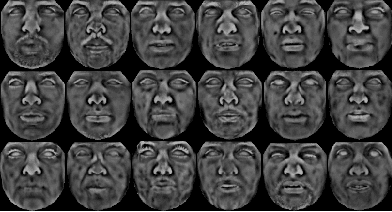 Figure 1 for A unified framework for thermal face recognition