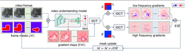 Figure 1 for Gradient Frequency Modulation for Visually Explaining Video Understanding Models
