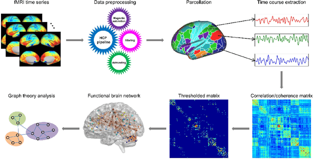 Figure 1 for Frequency-specific segregation and integration of human cerebral cortex: an intrinsic functional atlas