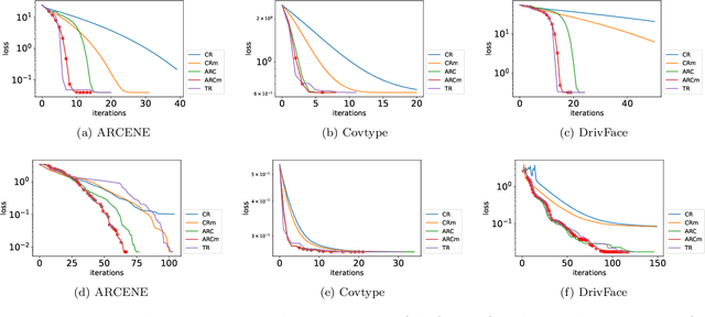 Figure 3 for A Momentum Accelerated Adaptive Cubic Regularization Method for Nonconvex Optimization