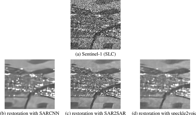 Figure 2 for A review of deep-learning techniques for SAR image restoration