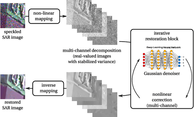 Figure 3 for A review of deep-learning techniques for SAR image restoration