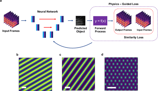 Figure 1 for Untrained, physics-informed neural networks for structured illumination microscopy