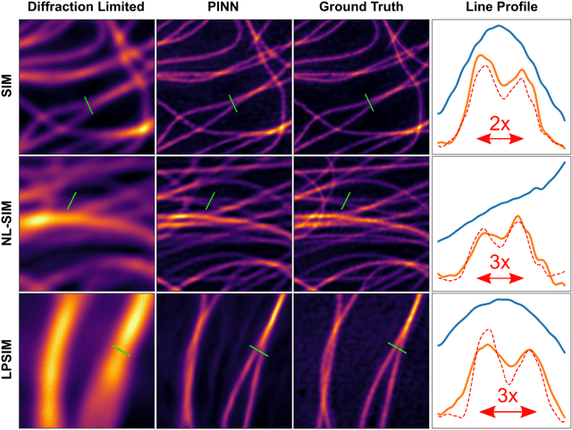 Figure 2 for Untrained, physics-informed neural networks for structured illumination microscopy