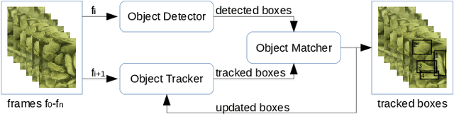 Figure 1 for Detecting and Counting Oysters