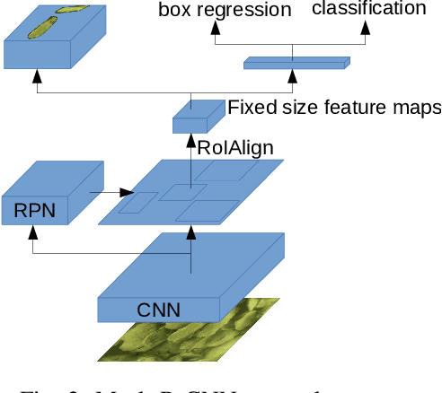 Figure 2 for Detecting and Counting Oysters