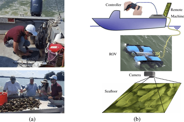 Figure 3 for Detecting and Counting Oysters