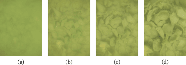 Figure 4 for Detecting and Counting Oysters