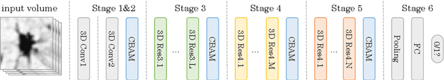 Figure 1 for Learning Efficient, Explainable and Discriminative Representations for Pulmonary Nodules Classification