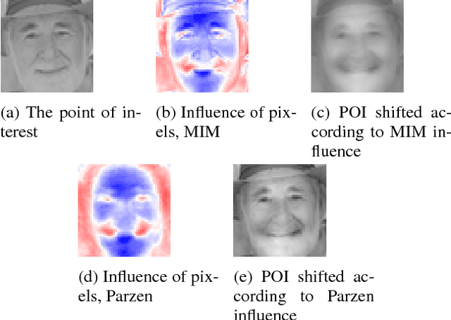 Figure 2 for A Characterization of Monotone Influence Measures for Data Classification