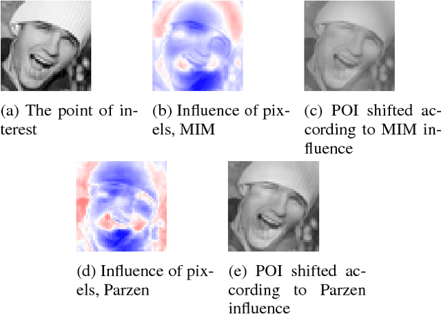 Figure 3 for A Characterization of Monotone Influence Measures for Data Classification