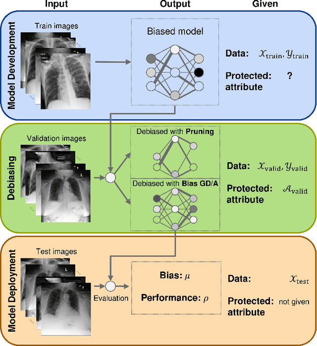 Figure 3 for Debiasing Deep Chest X-Ray Classifiers using Intra- and Post-processing Methods