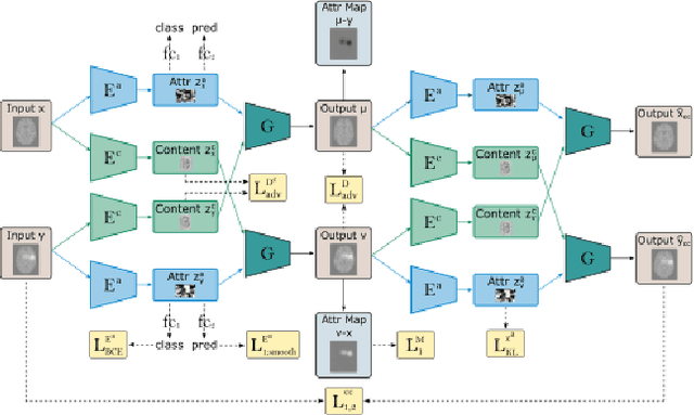 Figure 4 for ICAM-reg: Interpretable Classification and Regression with Feature Attribution for Mapping Neurological Phenotypes in Individual Scans