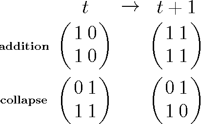 Figure 2 for Automata networks model for alignment and least effort on vocabulary formation