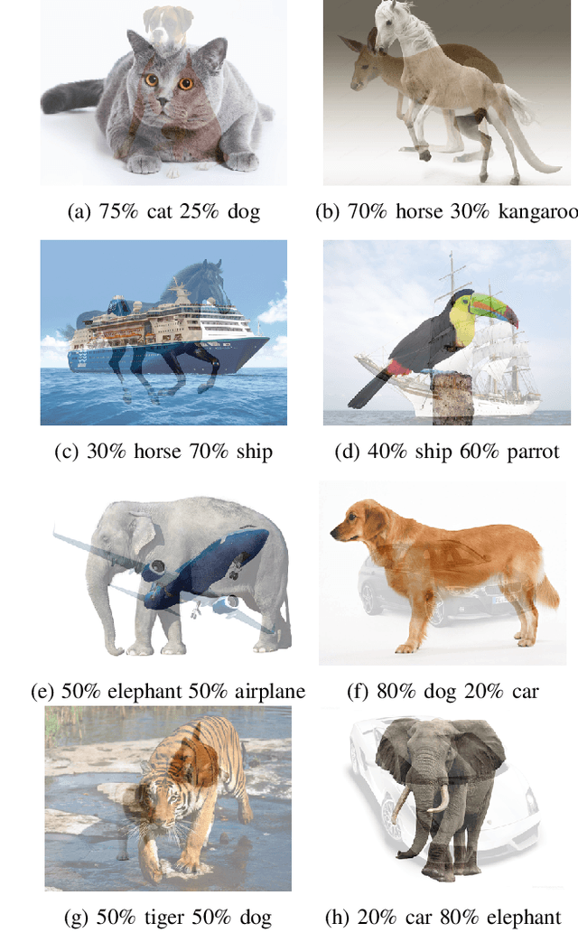 Figure 1 for Stealing Knowledge from Protected Deep Neural Networks Using Composite Unlabeled Data