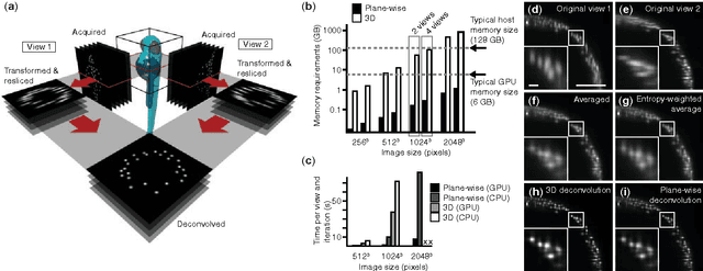 Figure 1 for Real-time multi-view deconvolution