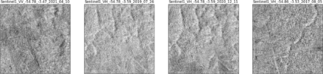 Figure 3 for MultiEarth 2022 -- The Champion Solution for the Matrix Completion Challenge via Multimodal Regression and Generation