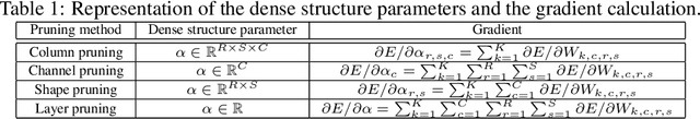Figure 2 for Parameterized Structured Pruning for Deep Neural Networks