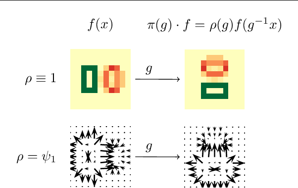Figure 1 for FILTRA: Rethinking Steerable CNN by Filter Transform