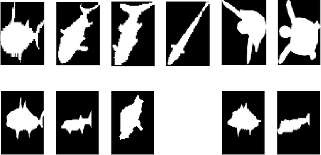 Figure 3 for Marine Animal Classification with Correntropy Loss Based Multi-view Learning