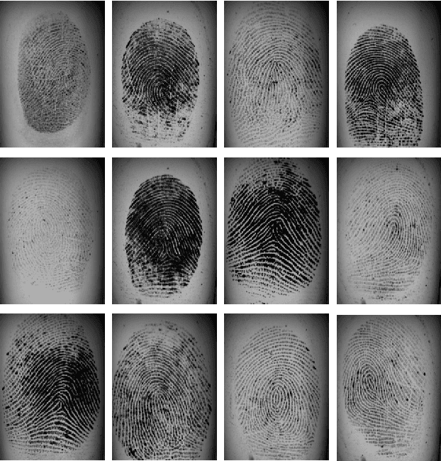 Figure 4 for Finger-GAN: Generating Realistic Fingerprint Images Using Connectivity Imposed GAN