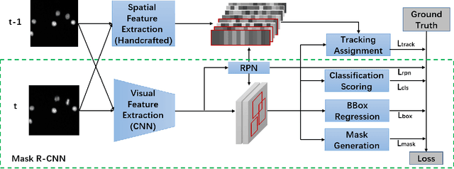 Figure 1 for CellTrack R-CNN: A Novel End-To-End Deep Neural Network for Cell Segmentation and Tracking in Microscopy Images