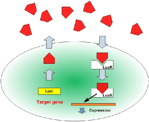 Figure 1 for A Quorum Sensing Inspired Algorithm for Dynamic Clustering
