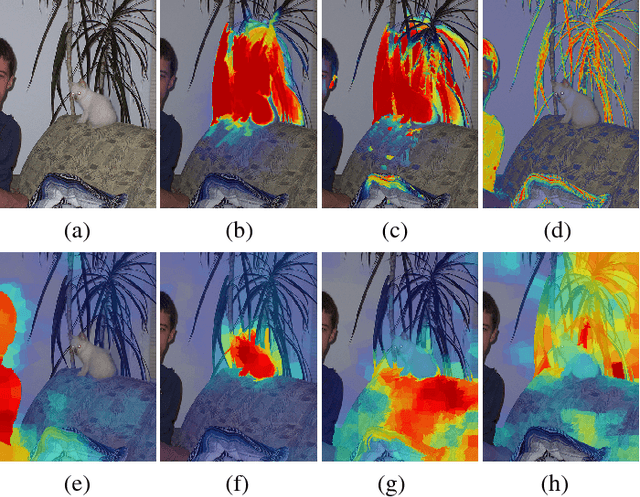 Figure 1 for Backtracking Spatial Pyramid Pooling (SPP)-based Image Classifier for Weakly Supervised Top-down Salient Object Detection