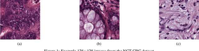 Figure 1 for Multi-Channel Auto-Encoders and a Novel Dataset for Learning Domain Invariant Representations of Histopathology Images