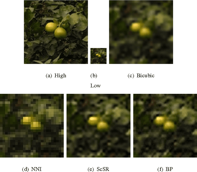 Figure 2 for A Bayesian Nonparametric Approach to Image Super-resolution