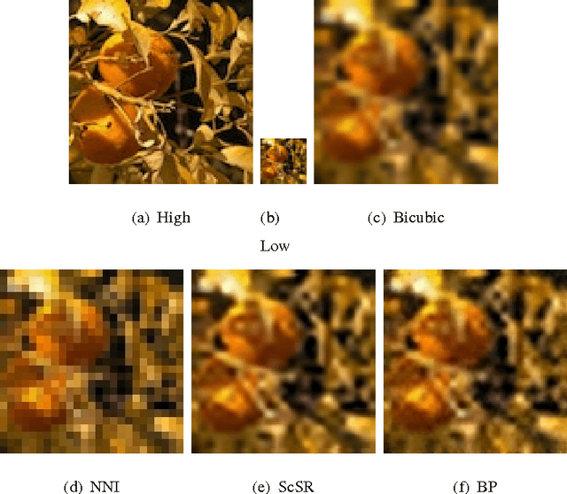 Figure 3 for A Bayesian Nonparametric Approach to Image Super-resolution