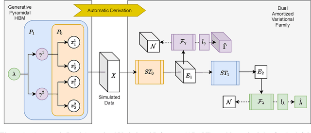 Figure 1 for ADAVI: Automatic Dual Amortized Variational Inference Applied To Pyramidal Bayesian Models
