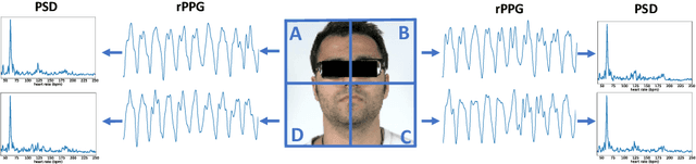 Figure 1 for Contrast-Phys: Unsupervised Video-based Remote Physiological Measurement via Spatiotemporal Contrast