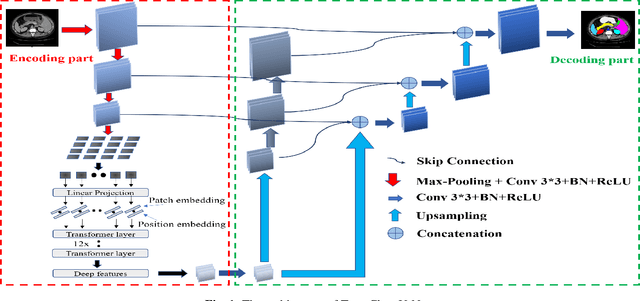 Figure 1 for TransClaw U-Net: Claw U-Net with Transformers for Medical Image Segmentation