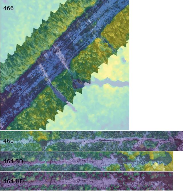 Figure 1 for Conifer Seedling Detection in UAV-Imagery with RGB-Depth Information