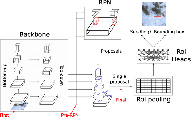 Figure 3 for Conifer Seedling Detection in UAV-Imagery with RGB-Depth Information