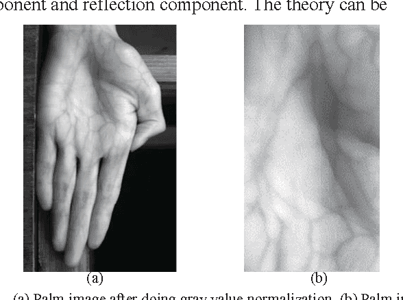 Figure 1 for A single scale retinex based method for palm vein extraction