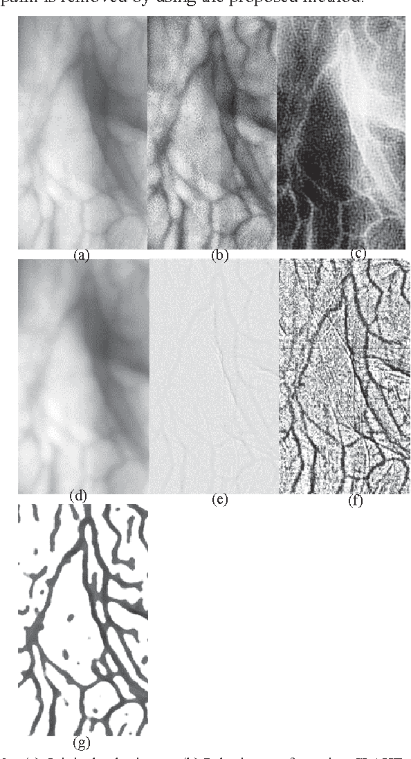 Figure 2 for A single scale retinex based method for palm vein extraction