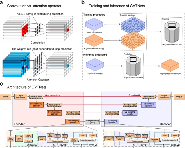 Figure 1 for Global Voxel Transformer Networks for Augmented Microscopy
