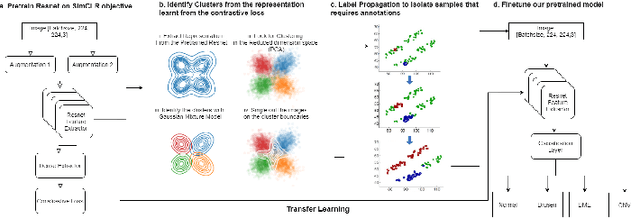 Figure 1 for SISE-PC: Semi-supervised Image Subsampling for Explainable Pathology