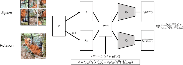 Figure 3 for On visual self-supervision and its effect on model robustness
